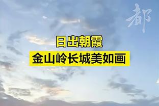 半岛电竞官方网站首页下载安卓截图2